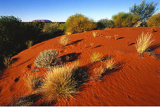 沙丘,澳大利亚
