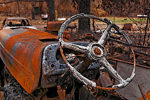 烧,拖拉机,操纵,轮子,黑色,星期六,林区大火,2009年,维多利亚,澳大利亚