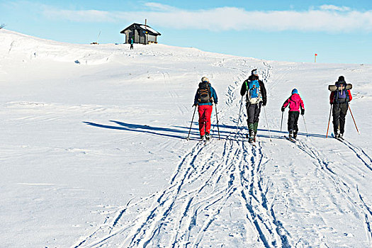 家庭,雪鞋,山