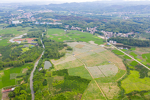 广西梧州,田园风光美