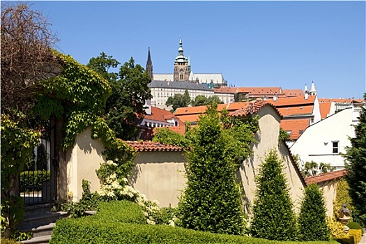 布拉格,花园,拉德肯尼,城堡