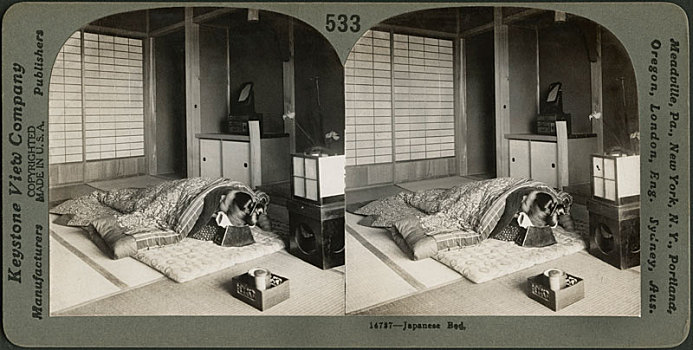 日本人,床,卡,风景