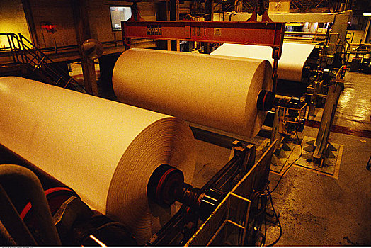 造纸厂
