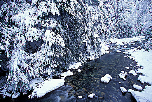 美国,华盛顿,国王,初雪,溪流