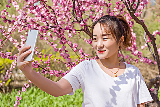年轻漂亮的女孩用手机自拍,春天美景