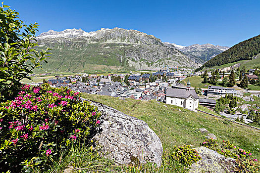 杜鹃属植物,高山,乡村,安德马特,雪,顶峰,背景,瑞士,欧洲