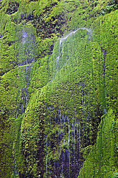 哥伦比亚河峡谷国家风景区,水,层叠,上方,悬崖