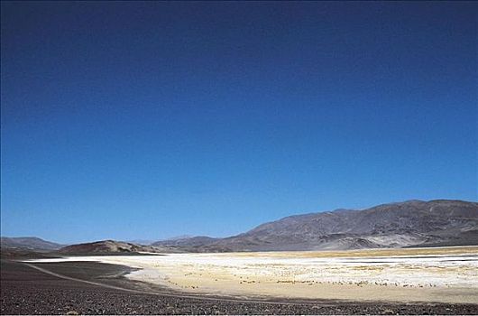 高原,盐湖,安第斯山,南美