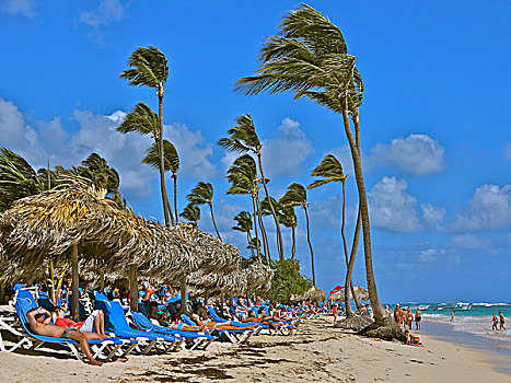 多米尼加共和国,酒店,海滩,加勒比,干盐湖
