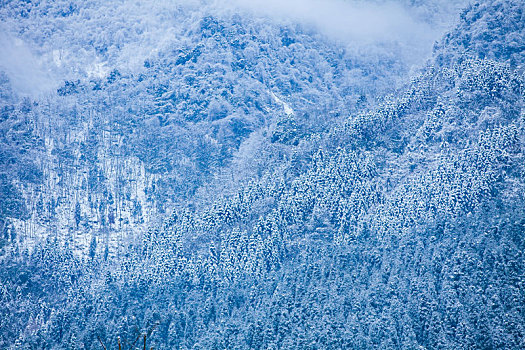 西岭雪山大雪的美丽风景