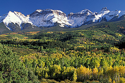 美国,科罗拉多,山,秋色,山景