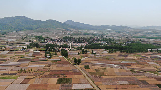 山东省日照市,航拍暮春里的广袤田野,五彩斑斓就像调色板