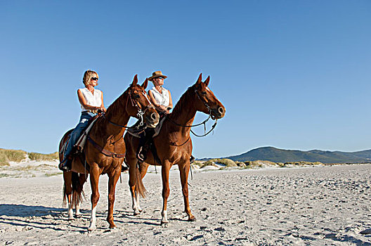 两个人,骑马,海滩
