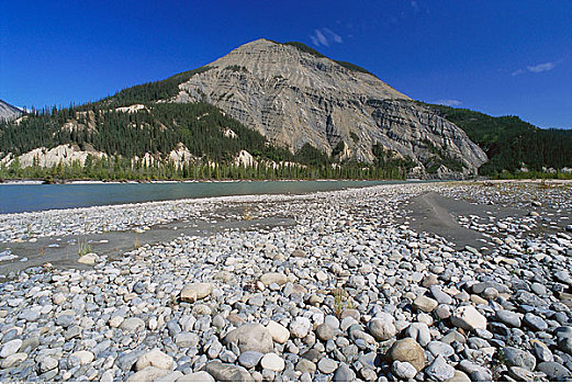 石头,海滩,河,国家公园,加拿大西北地区,加拿大