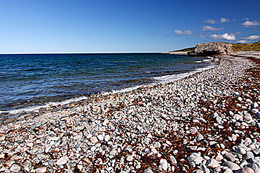 鹅卵石,海滩,纽芬兰,加拿大