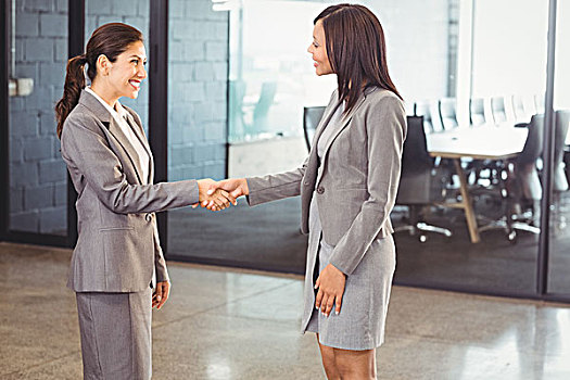 职业女性,握手,同事,办公室