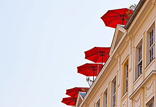 红色,伞,屋顶,平台,波茨坦,勃兰登堡,德国,欧洲