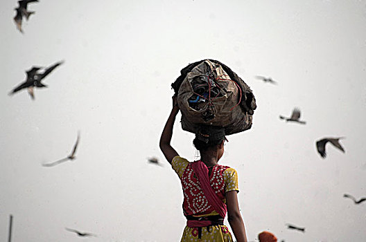 女人,贫乏,社区,收集,事物,出售,垃圾,堆,达卡,孟加拉,二月,2008年