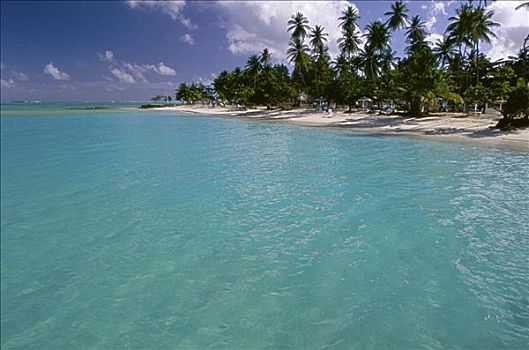 多巴哥岛,特立尼达和多巴哥