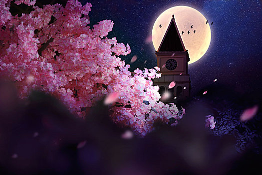 月 星球 夢想