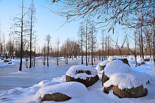 雪景