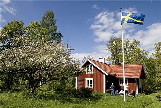 瑞典人,旗帜,户外,红色,屋舍,瑞典