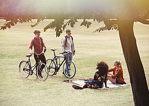男人,自行车,接近,女人,毯子,公园