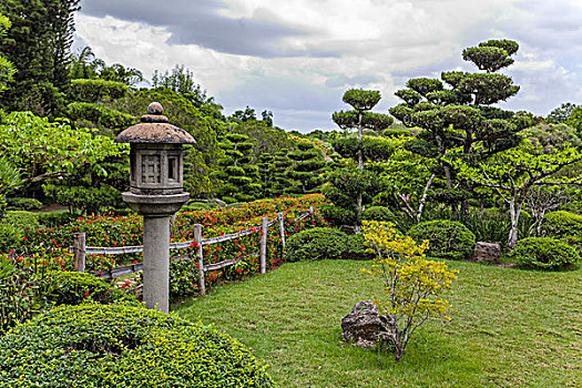 日式庭园,国家,医生,玛丽亚,植物园,圣多明各,伊斯帕尼奥拉岛,岛屿,大安的列斯群岛