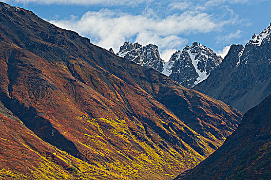 秋天,景色,德纳里峰国家公园,阿拉斯加,美国