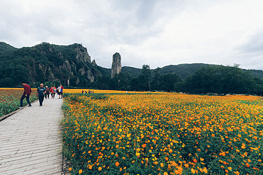 丽水仙都