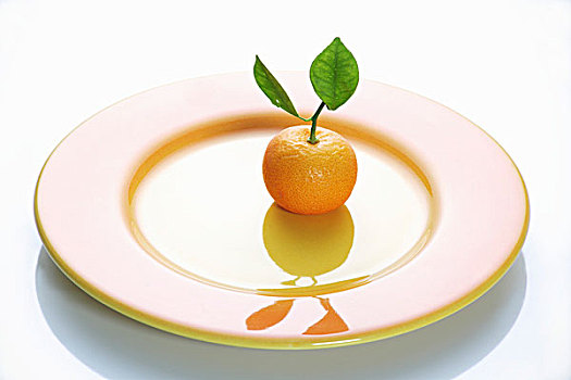 克莱门氏小柑橘,盘子