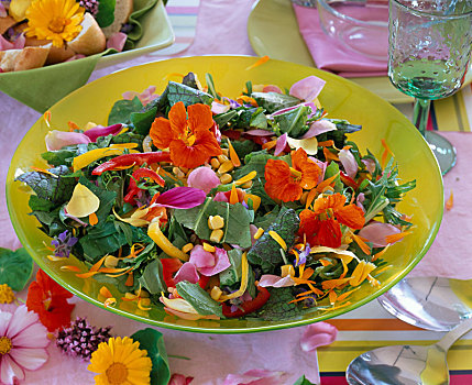 食用花卉,沙拉,金莲花属植物,旱金莲