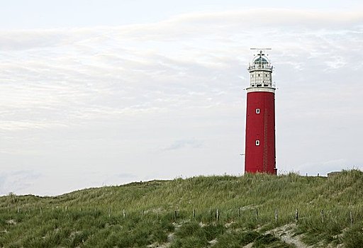 灯塔,沙丘,海滩,特塞尔,荷兰