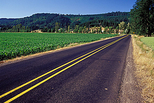 公路,通过,风景,驾驶,俄勒冈,美国