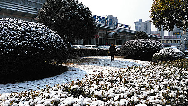 上海安亭雪景