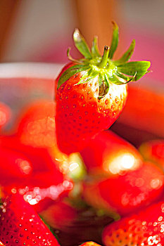 一个鲜红色的草莓悬在半空中的特写