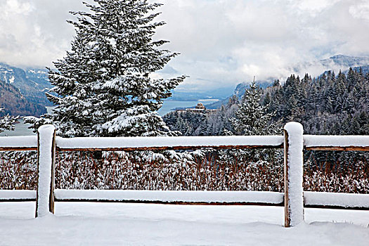 冬天,雪,漂亮,皇冠,波特兰,州立公园,哥伦比亚河峡谷国家风景区,俄勒冈,美国