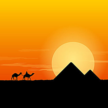 骆驼,驼队,金字塔