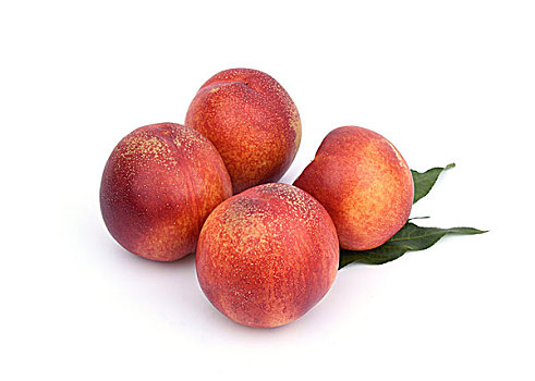 新鲜的油桃