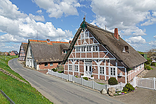 茅草屋顶,房子,陆地,区域,下萨克森,德国,欧洲