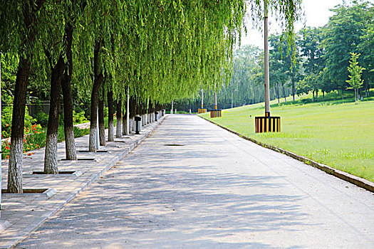 柏油路