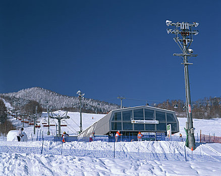 福良野,滑雪