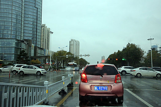 山东省日照市,立冬节气风雨交加,落叶缤纷铺满路面成靓丽风景,气象部门连续发布寒潮大风预警信号