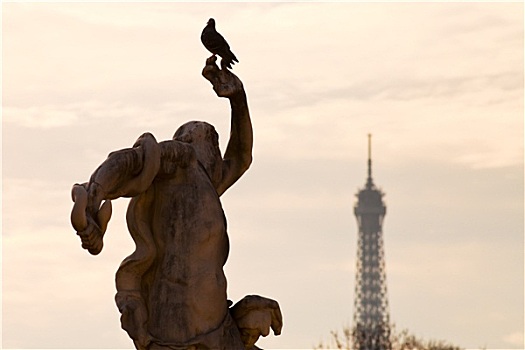 鸽子,雕塑,埃菲尔铁塔,巴黎
