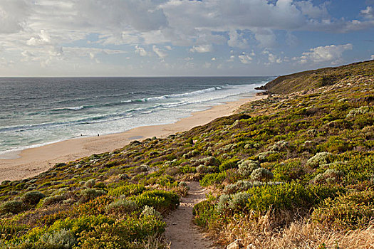 海滩,悬崖,海岸,西澳大利亚,澳大利亚