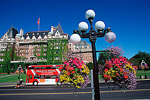 双层巴士,停放,正面,皇后酒店,花,篮子,维多利亚,温哥华岛,不列颠哥伦比亚省,加拿大