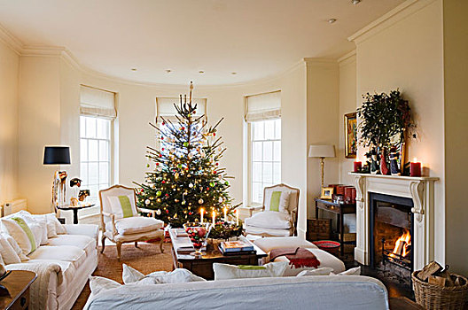 灯,沙发,传统,室内,圣诞树,窗户