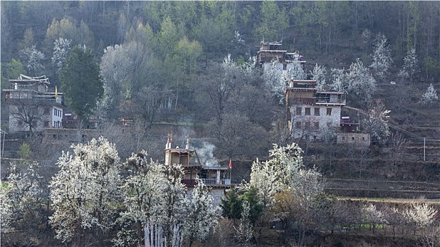 四川阿坝州金川中路藏寨春天风景