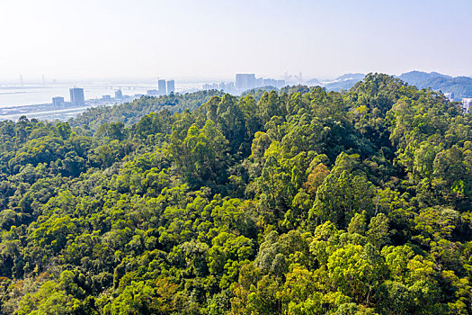 航拍广州大角山炮台遗址,虎门炮台