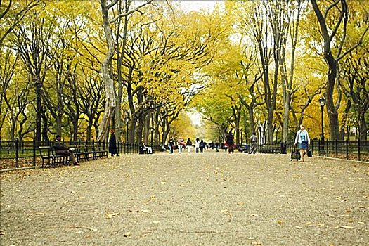 人群,公园,中央公园,曼哈顿,纽约,美国